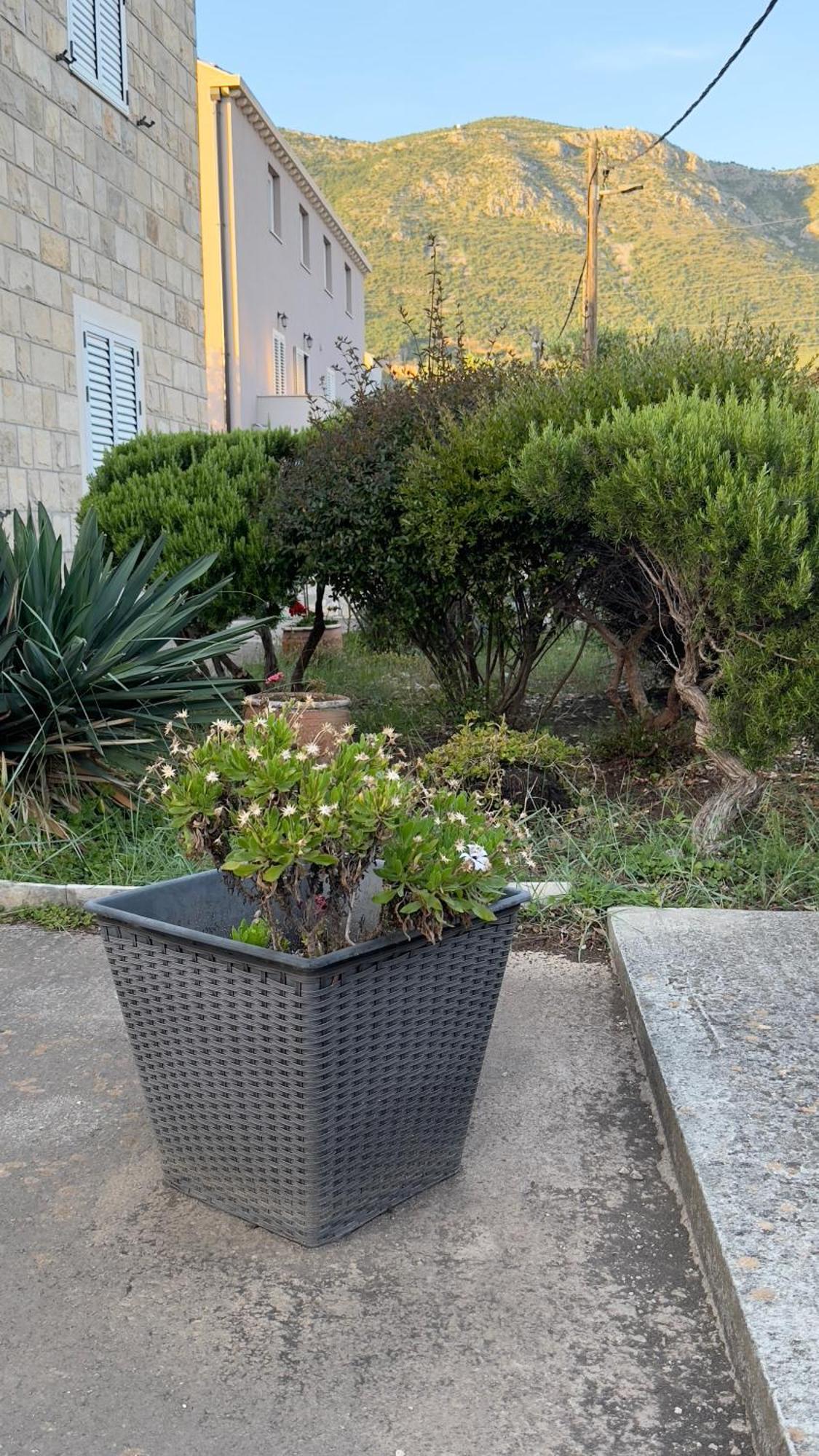 Oliva Appartement Cavtat