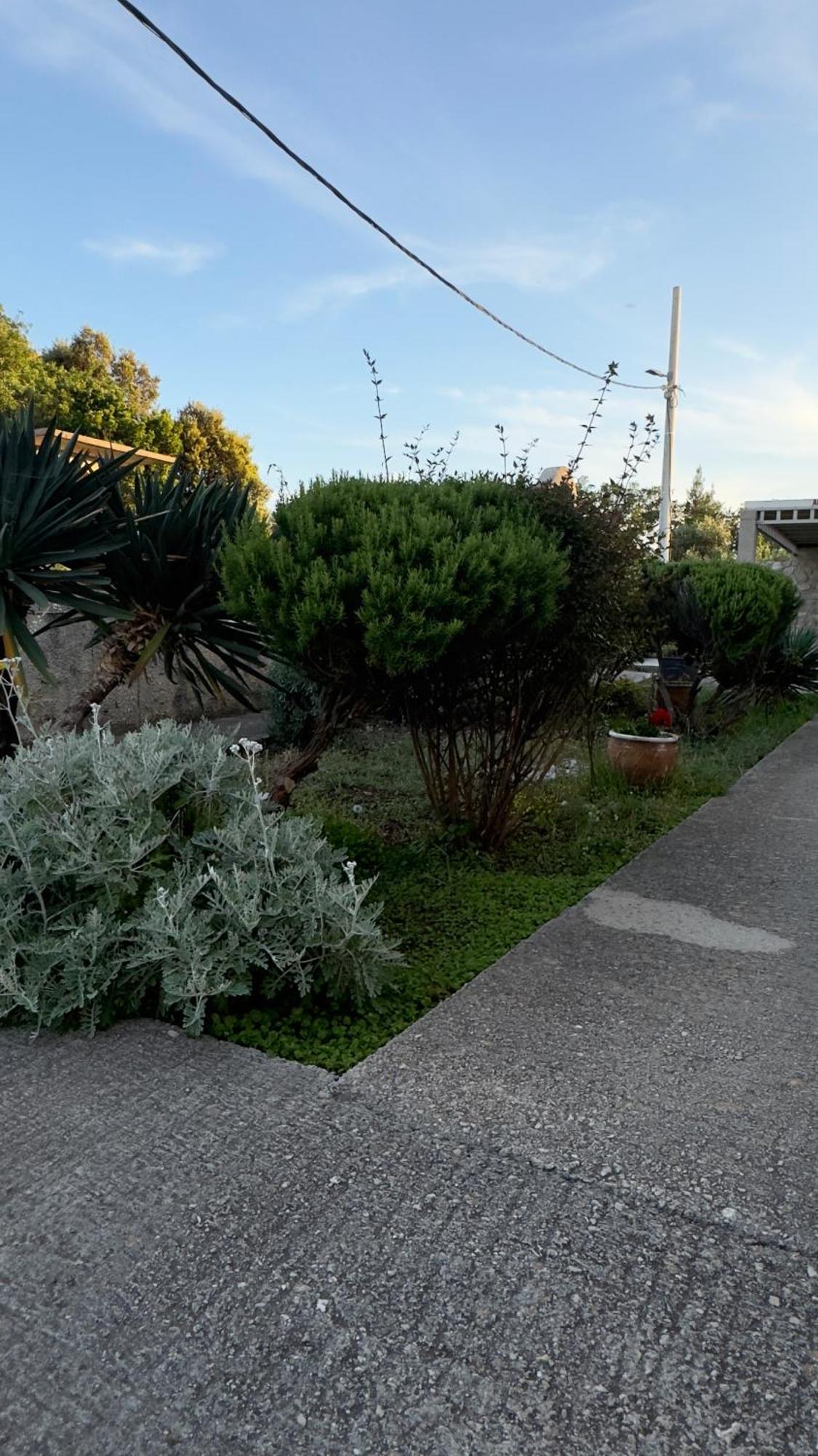 Oliva Appartement Cavtat